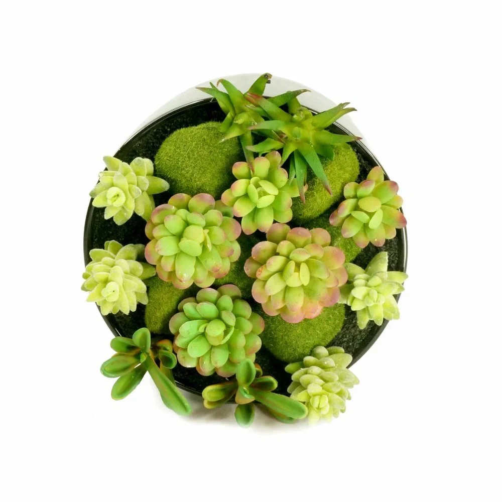Faux Succulent Planter with Moss Cactus Aloe Vera - Picture 3 of 5